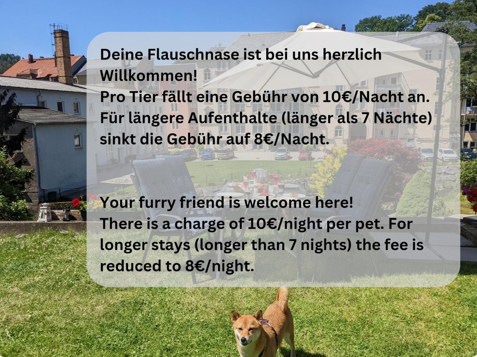 Famzi - Urlaubsmagie - Familienwohnung Mit Gemeinschaftsgarten, -Sauna & -Pool Sebnitz Buitenkant foto