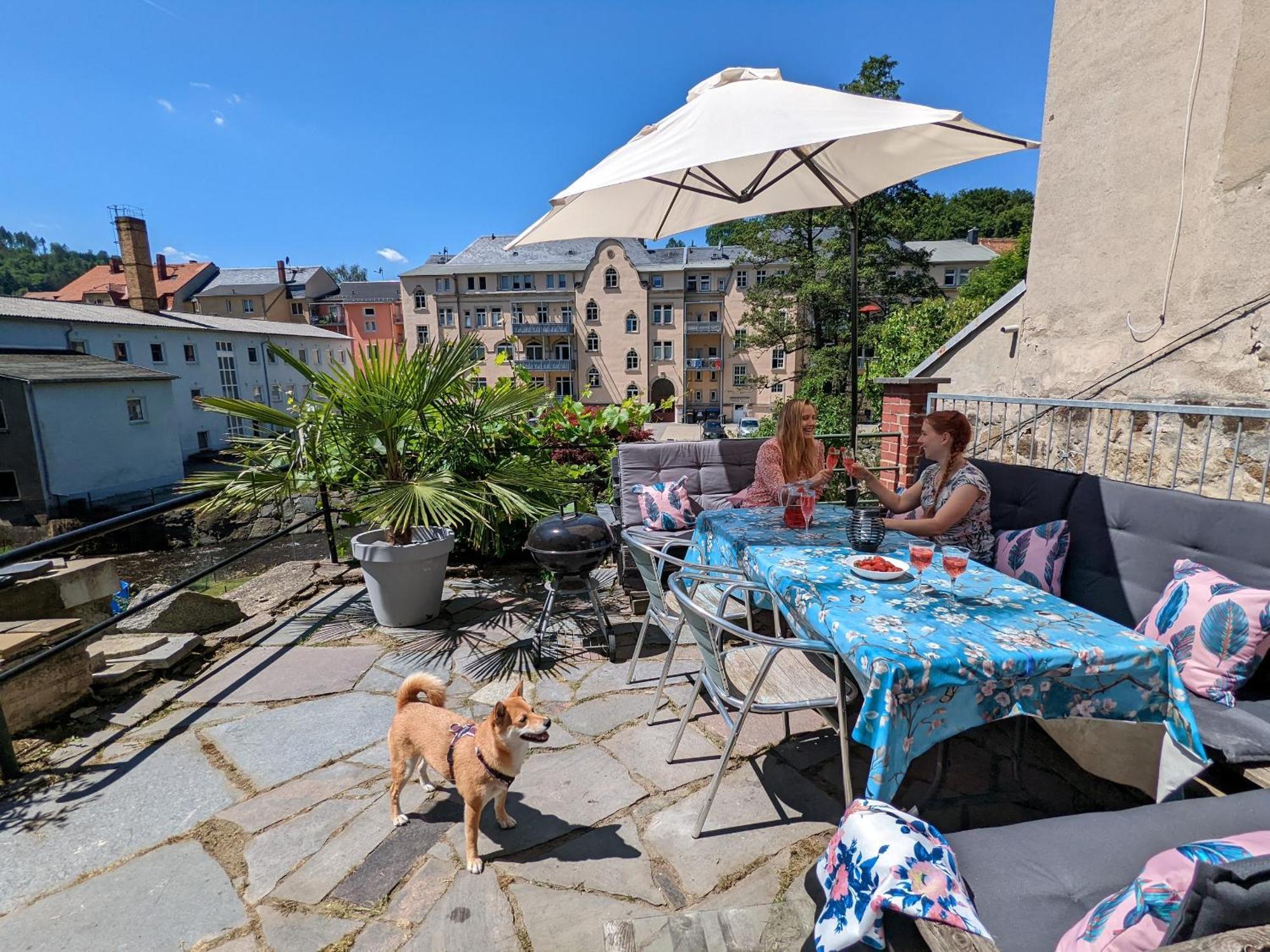 Famzi - Urlaubsmagie - Familienwohnung Mit Gemeinschaftsgarten, -Sauna & -Pool Sebnitz Buitenkant foto
