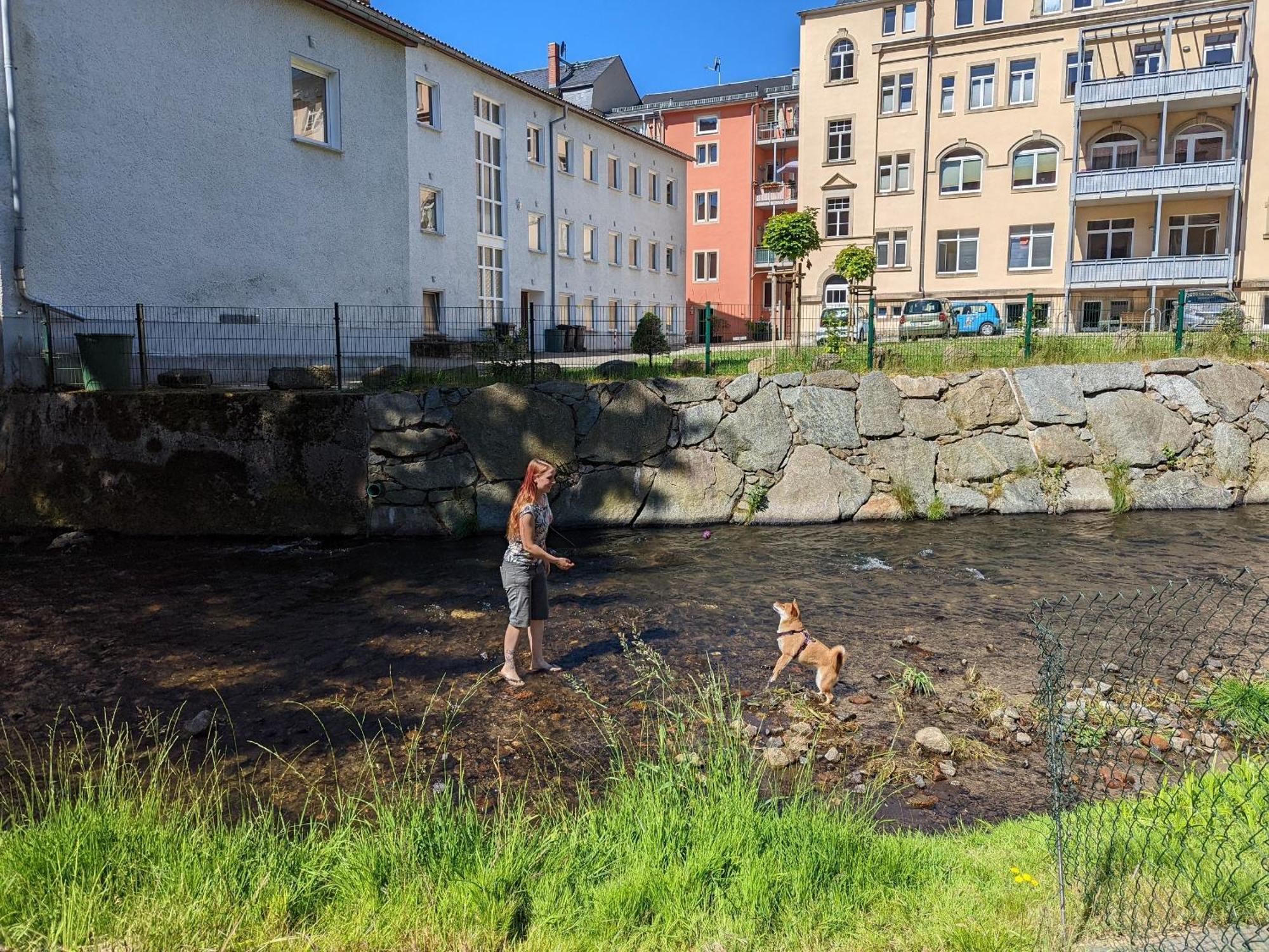 Famzi - Urlaubsmagie - Familienwohnung Mit Gemeinschaftsgarten, -Sauna & -Pool Sebnitz Buitenkant foto